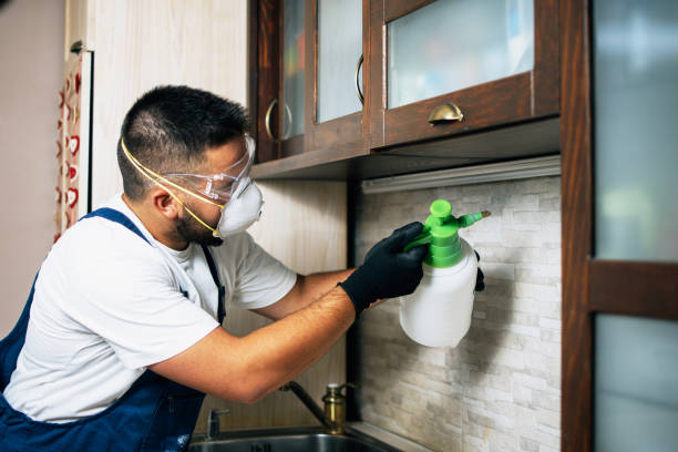 Wasp Removal Services in Lewistown, PA