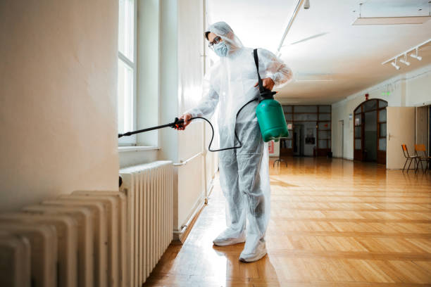 Wasp Removal Services in Lewistown, PA