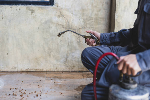 Reliable Lewistown, PA Pest Control Solutions